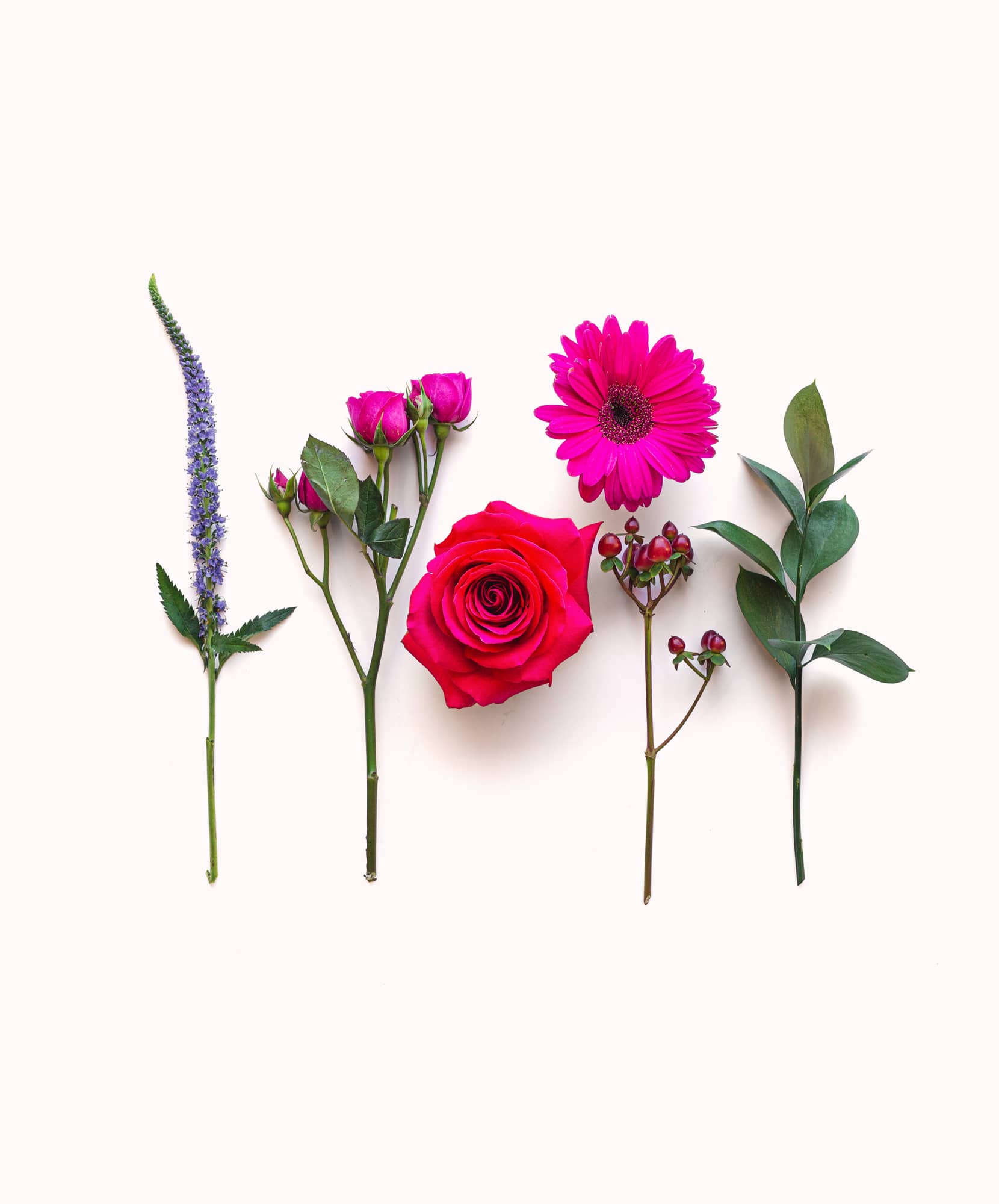 Vibrant floral arrangement featuring pink roses, daisies, and green leaves on a soft background.